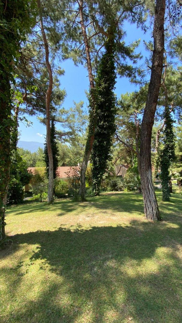 Pine Club Apart Hotel Kusadasi Bagian luar foto
